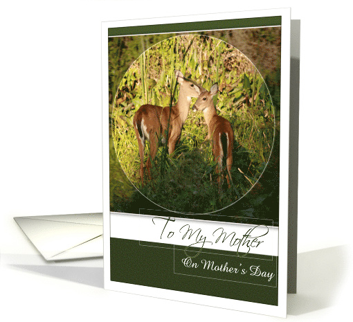 To My Mother on Mother's Day with Mother and Baby Deer Photo card