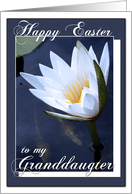 Happy Easter to My Granddaughter with a Water Lily Photo card