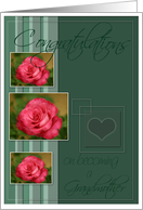 Congratulations on Becoming a Grandmother with Pink Roses card