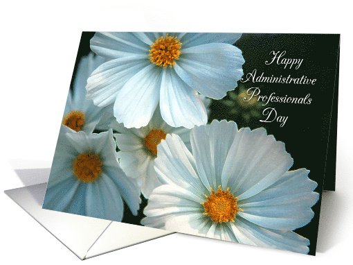 Administrative Professionals Day Card with White Daisies Photo card