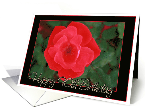 Happy 90th Birthday with a Red Rose Picture card (605650)