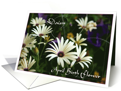 April Birth Flower Daisy card (609099)