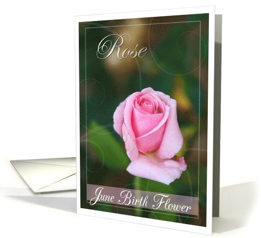 June Birth Flower Rose card (609108)