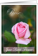 June Birth Flower Rose Card