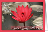 July Birth Flower with Water Lily card