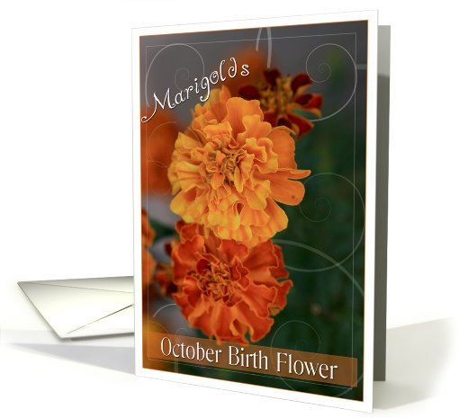 October Birth Flower- Marigold card (609111)