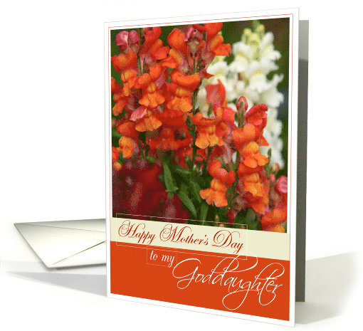 Happy Mother's Day to My Goddaughter with Snapdragons card (609473)