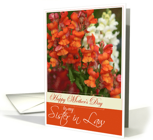 Happy Mothers Day to My Sister in Law Snapdragons card (609497)