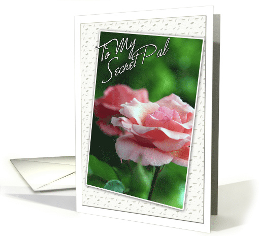 To My Secret Pal Thinking of you with Pink Roses card (616281)