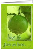 When Life Gives You Limes- Drinks Invite Card