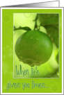 When Life Gives You Limes- Drinks Invite Card