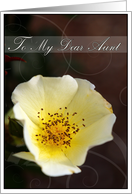 Thinking of You Aunt with a Pretty Soft Yellow Rose card