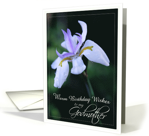 Warm Birthday Wishes for Godmother with Lavender Iris Flower card