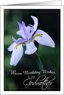 Warm Birthday Wishes for Godmother with Lavender Iris Flower card