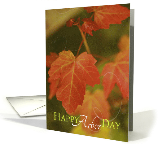Happy Arbor Day with Fall Colored Leaves card (681644)