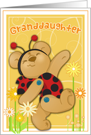 Granddaughter Miss You with Button Bear Ladybug card