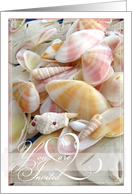 You are Invited. Beach Shells Wedding Invitation card