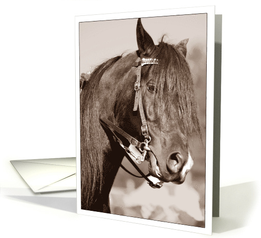 Horse in Sepia Loss of Horse Sympathy card (755752)