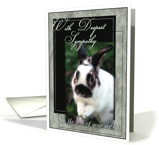 Loss of Rabbit Sympathy card (755760)