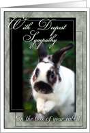 Loss of Rabbit Sympathy card