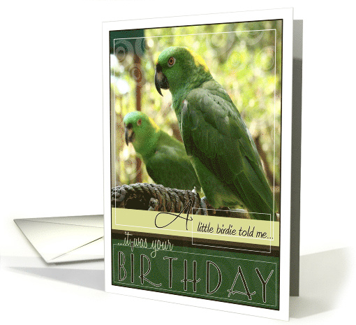 A Little Birdie Told Me It Was Your Birthday with Green Parrots card