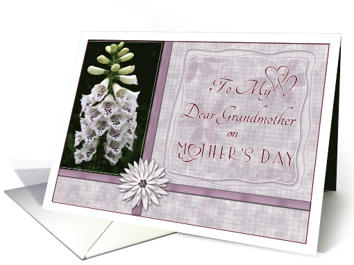 Grandmother on Mothers Day with White Foxglove Flowers Photo card