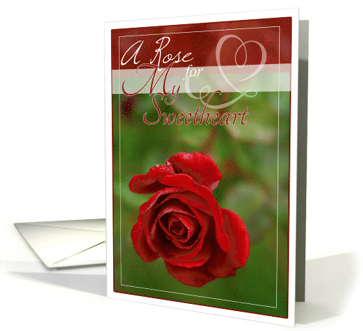 A Rose for My Sweetheart Red Rose photo card (792327)