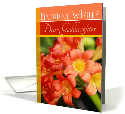 Birthday Wishes Dear Goddaughter- Orange Flowers card (793254)