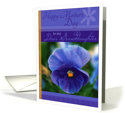 Happy Mothers Day to My Dear Granddaughter with Violet Pansy card