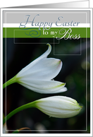 Happy Easter to My Boss with White Lilies card