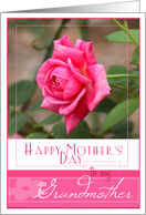 Happy Mothers Day to My Grandmother with Pretty Pink Rose Photo card