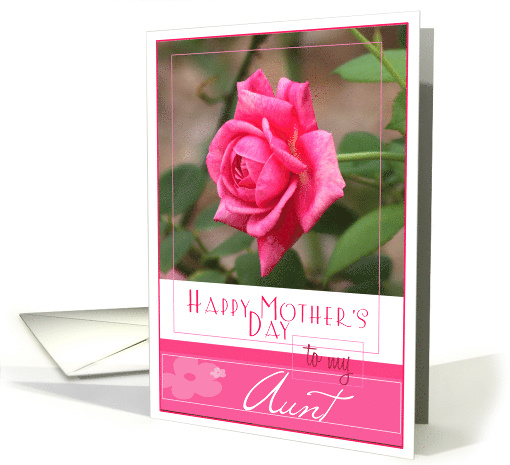 Happy Mothers Day to My Aunt with a pretty pink rose card (800655)