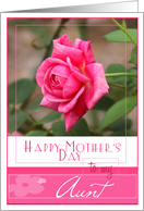 Happy Mothers Day to My Aunt with a pretty pink rose card