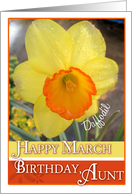 Happy March Birthday Aunt - Daffodil card