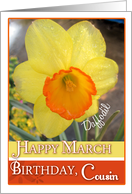 Happy March Birthday Cousin- Daffodil card