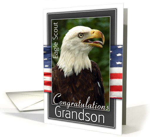 Eagle Scout Congratulations-Grandson card (803721)