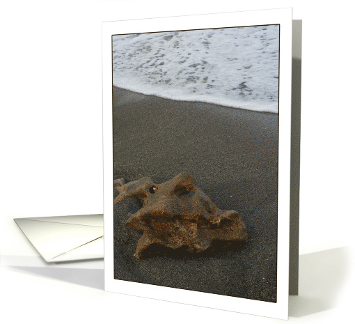 Beach Waves and Rock in Jupiter, Florida card (803748)