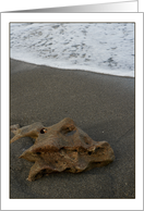 Beach Waves and Rock in Jupiter, Florida card