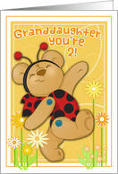 Ladybug Bear for...