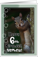 Nephew 6th Birthday with a squirrel card