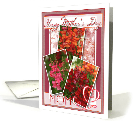 Happy Mothers Day to Mom with Snapdragon Snapshots card (841274)