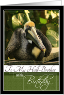 To My Half-Brother on his Birthday with a Pelican photo card