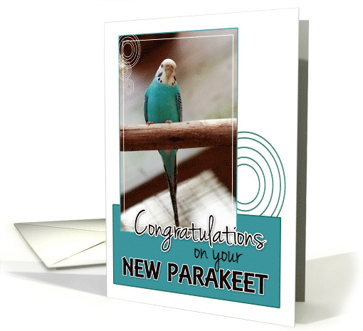 Congratulations on Your New Parakeet! card (846154)