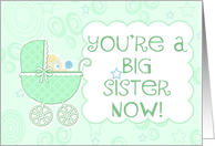 You're a Big Sister...