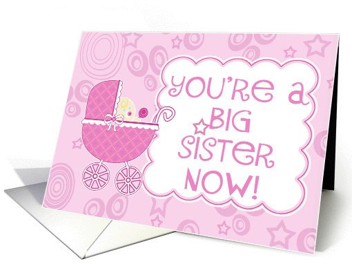 You're a Big Sister Now- New Baby Girl/Sister card (850164)