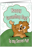 Happy Groundhog Day to Secret Pal with Cute Groundhog Illustration card