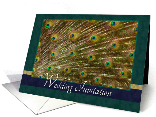 Wedding Invitation- Peacock Themed, Teal card (907270)
