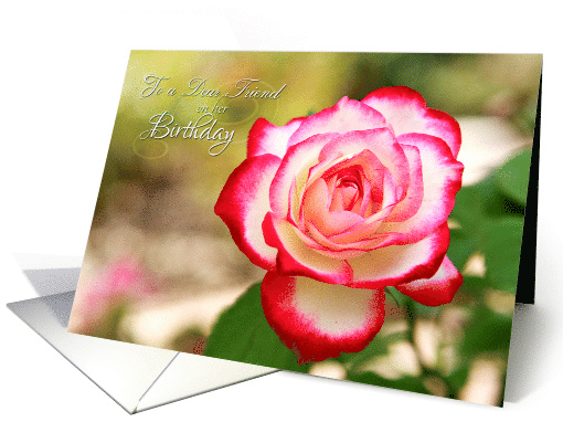To my Dear Friend on Her Birthday with a Photo of Rose card (981109)