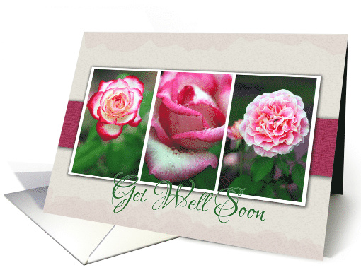 Get Well Soon with Pretty Rose Snapshot Photos card (984551)