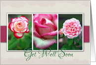 Get Well Soon with Pretty Rose Snapshot Photos card